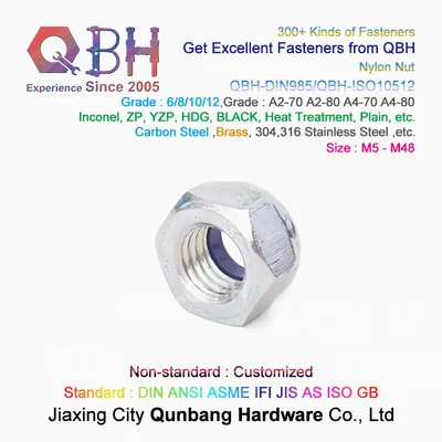 Qbh DIN 985 M5-M48 Carbon Steel White Blue Zinc Plated Zp Wzp Bzp Wbzp Bwzp DIN985 Nylon Prevailing Torque Hex Hexagon Hexagonal Locknuts