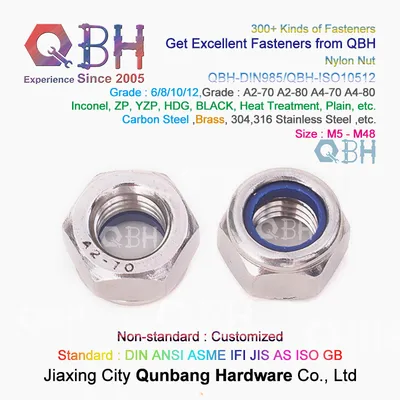 Qbh DIN 985 M5-M48 Stainless Steel S. S. /Ss/SUS 304/316 SS304/SS316 SUS304/SUS316 DIN985 Nylon Prevailing Torque Hexagon Locked Nuts
