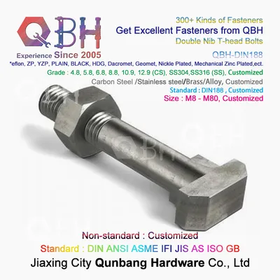 Qbh DIN188 Double Nib High Quality T-Head Bolts
