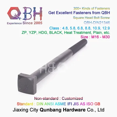 Qbh DIN21346 M16 - M30 Shaft Guides Building Material Heavy Bolt Square Head Set Screw