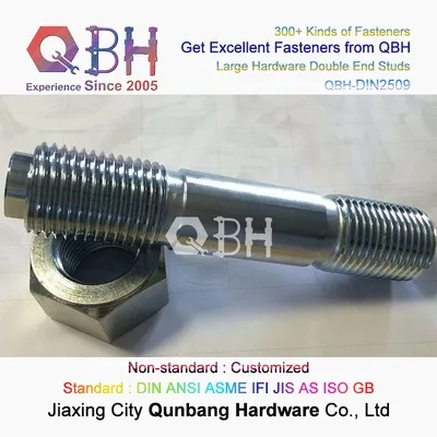 Qbh DIN2509 Large Spare Fastener Hardware Double End Studs Dowel I Bolt Screw Cylinder Cover Nut
