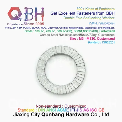 Qbh DIN25201 Customized Anti Vibration Lock Washer