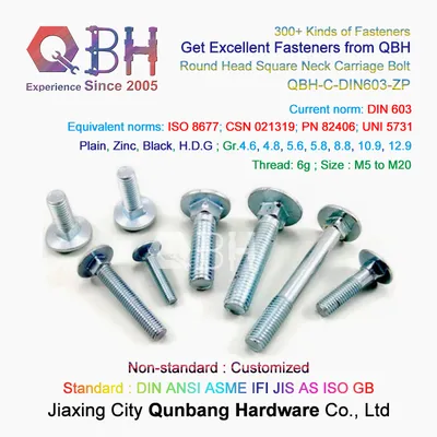 Qbh DIN603 M5-M20 4.8/6.8 Plain Black Yellow Blue Zinc Nickle Plated HDG Hot DIP Galvanizing Dacromet Geomet DIN 603 Custom-Made OEM ODM Carriage Coach Screws