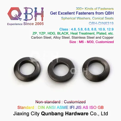 Qbh DIN6319 DIN 6319 M6-M30 Carbon Alloy Stainless Steel Copper Brass Conical Spherical Gasket