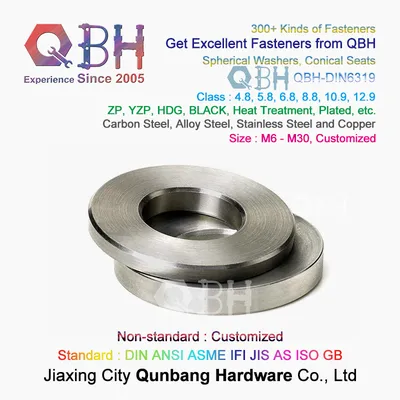 Qbh DIN6319 OEM ODM Standard Customized Conical Spherically Faced Closure Gasket
