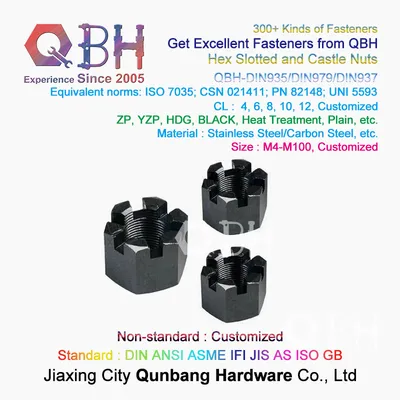 Qbh DIN935 DIN937 DIN979 Stainless Steel Carbon Steel 4/6/8/10/12 Trailer Axle Slotted Nut