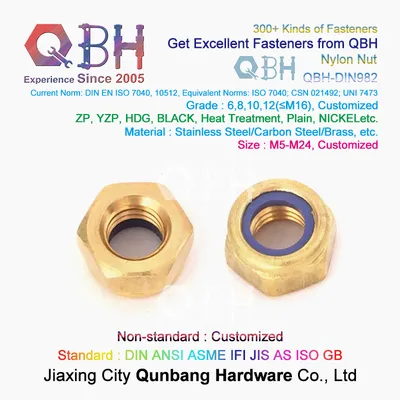 Qbh DIN982 DIN 982 M5-M24 Copper Brass Nylon Non-Metallic Insert Prevailing Torque Hex Thick Locked Nuts