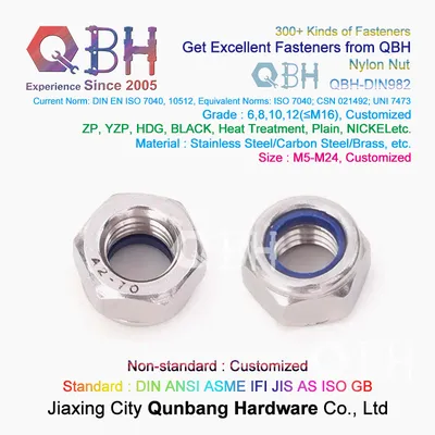 Qbh DIN982 DIN 982 M5-M24 Stainless Steel S. S. /Ss/SUS 304/316 SS304/SS316 SUS304/SUS316 Nylon Non-Metallic Insert Prevailing Torque Hex Thick Locked Nuts