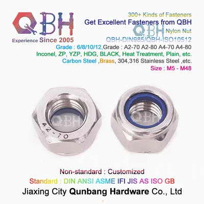 Qbh DIN985 Nylon Insert Self Locked Carbon Steel M5-M48 Stainless Steel S. S. /Ss/SUS 304/316 SS304/SS316 SUS304/SUS316 DIN 985 Hex Nylock Nut