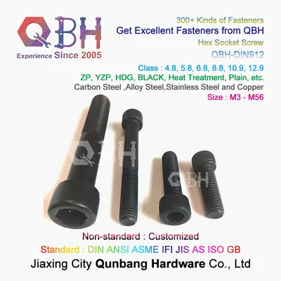 Qbh Fastener Professional Supplier Hardware Supply Hex Socket Check Cap Screw