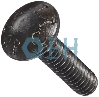 Qbh Gr2 Bolt Round Head Square Neck