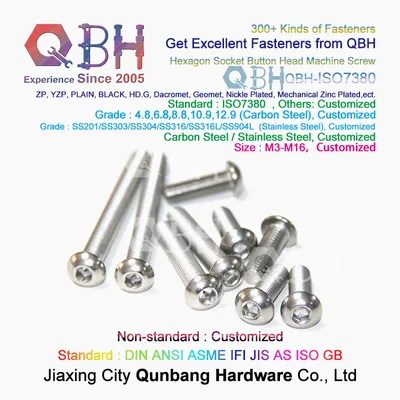 Qbh ISO 7380 SS304 SS316 Stainless Steel Metric Socket Head Screws