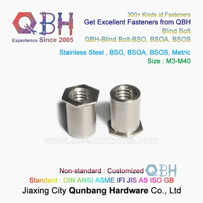 Qbh Insert Blind Hollow Self Clinching Stainless Steel Thru-Hole Internal Negative Female Thread SS304/316 M3-M10 Self-Clinching Hexagon Hexagonal Hex Rivet Nut