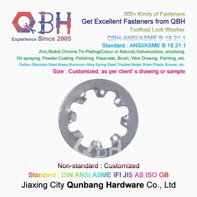 Qbh Lighting Pump Body Marine Automobile Railway Valve Architectural Furniture Parts Countersunk Internal Serrated Toothed Metal Special Lock Locking Washer