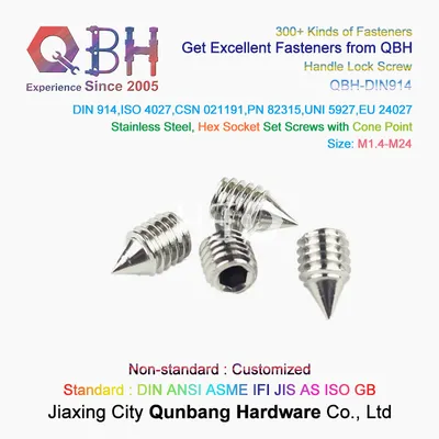 Qbh M1.4-M24 DIN914 DIN916 Conehead Cone Head / Cup Flat Point Standard Customized Zinc Plated Stainless Steel Fastener Furniture Grub Socket Set Screw