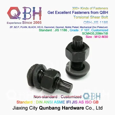 Qbh M12-M36 Customized High Strength Building Fasteners Steel Structure Tc Bolt Tension Control Spare Replacement Accessories