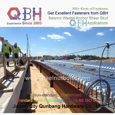 Qbh Made in China Bulkbuy Bulk Buy Steel Structure Structual Arc Weld Shear Stud Seismic Wedge Anchor Bolt Bridge Road Boat Ship Building Fastener Hardware