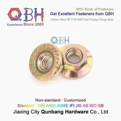 Qbh NF E 25-406 M5-M20 Cold Forging Hexagonal Hexagon Hex Flanged Flange Nuts with Serration/No Serration