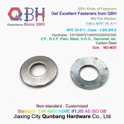 Qbh Nfe25-511 Ground Contact Locking Lock Washer