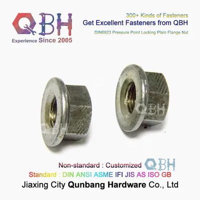 Qbh Pressure Point Locking Flange Nut with Pattern Plain
