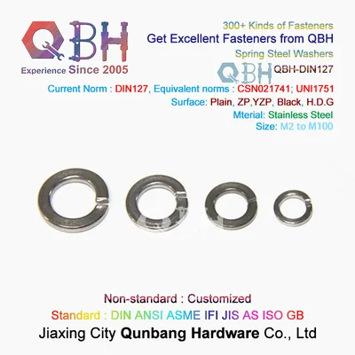 Qbh SUS304/SUS316 Stainless Steel DIN127 DIN127A DIN127b Spring Locked Gaskets