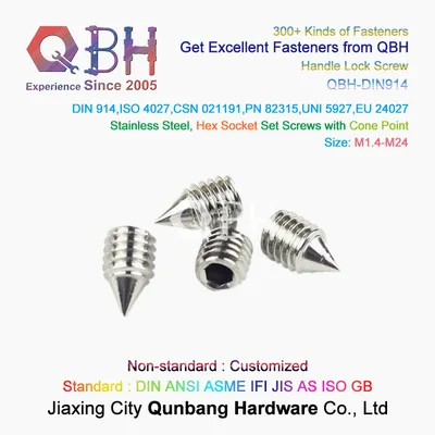 Qbh Ss/SUS 304/316 Stainless Steel DIN916/DIN914 Hexagon Socket Headless Grub Screw