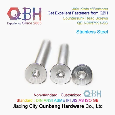 Qbh Ss SUS 304/316 Stainless Steel Plain Cks Countersunk Metric Socket Head Screws