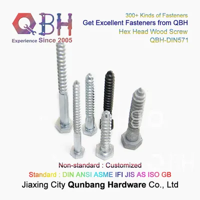 Qbh Stainless Carbon Steel Hex Hexagon Head ASME Lag Screw