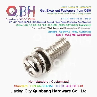 Qbh Stainless Steel SS304 SS316 Phillips Pan Head Screw with Flat Washer and Spring Washer