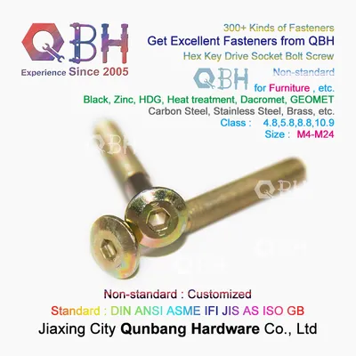 Qbh Standard Non-Standard Customized Wholesale OEM ODM Hex Key Drive Socket Fastener Fitting Furniture Bolt