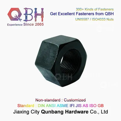 Qbh Uni5587 / ISO4033 Black Cl. 6/8/10 M3-M80 Carbon Steel Hexagonal Hexagon Hex Nuts