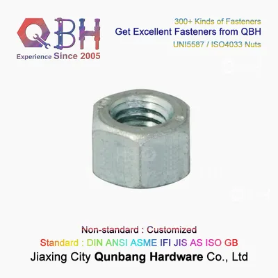 Qbh Uni5587 ISO4033 Cl10 M3 to M80 Carbon Steel Nuts