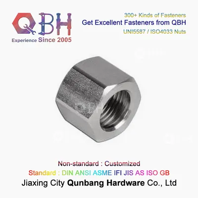 Qbh Uni5587 ISO4033 M3-M80 Stainless Steel SS304/SS316/SUS304/SUS316 Hexagonal Hexagon Hex Nuts