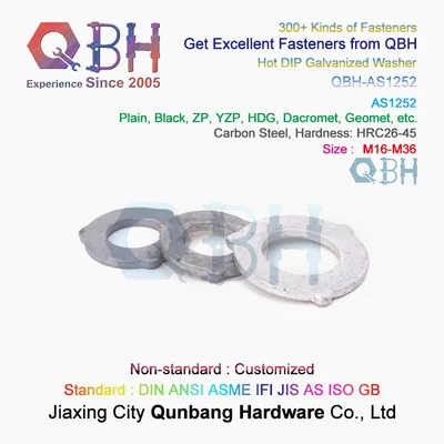Qbh Washer As1252 Hot DIP Galvanized