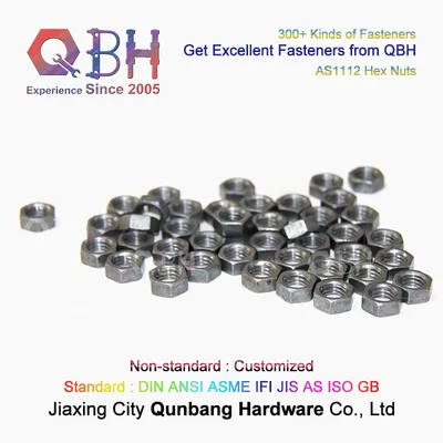 Qbh as 1112 Plain Surface Treatment Class10 M5-M64 Carbon Steel As1112 Hex Nuts