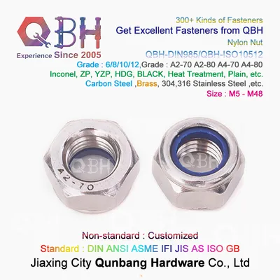 Qbn DIN 985/982 Stainless Steel White Ring/Blue Ring Nylon Self Lock Nut