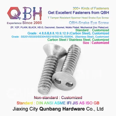 Security T Tamper Resistant Spanner Head Snake Eye Flat Head Bolt