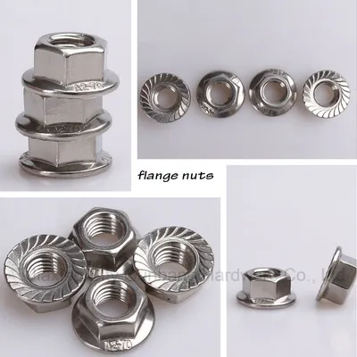 Stainless Steel Flange Hex Nut DIN6923