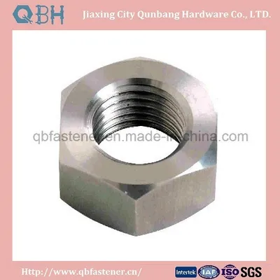 Stainless Steel Hex Nuts (S. S., 304, 316 DIN934)