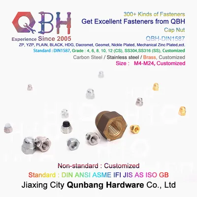 Stainless Steel Nylon DIN1587 DIN986 Hex Domed Cover Cap Acorn Lock Nut