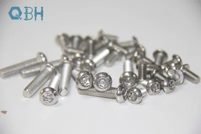 Stainless Steel Tamper-Resistant Button Head Torx Screws